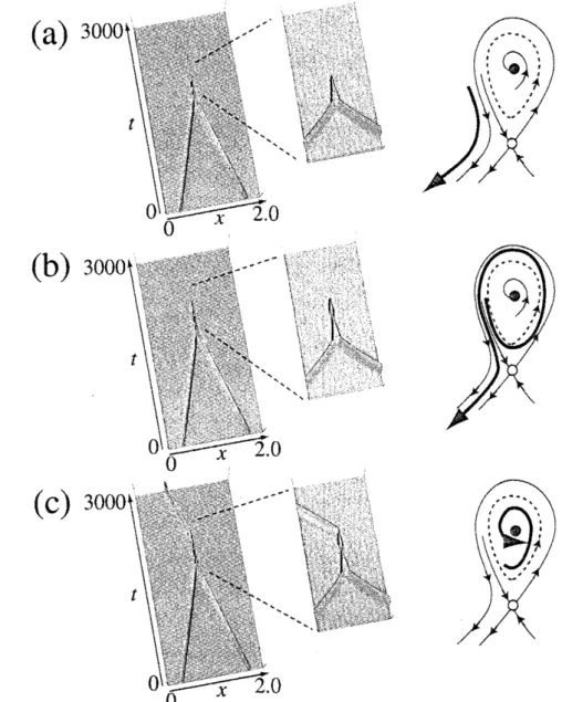 図 4: (a) 対消滅 $(D_{v}=2.9450 \mathrm{x}10^{-4})$ . (b) 振動した後消滅 $(D_{v}=2.9465\mathrm{x}10^{-4})$ 